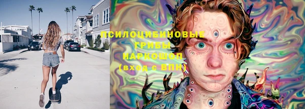 прущие грибы Абдулино