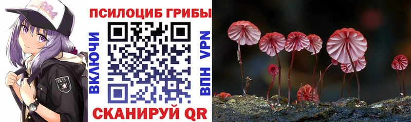 Псилоцибиновые грибы Psilocybe ссылка на мегу онион Чебоксары купить закладку